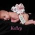 Holley osburn