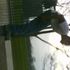 Trenton Jackson
