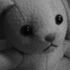 Mister Bun-Bun