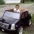 La Baby Dealba