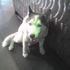 Buster Stich
