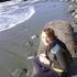 Andrea H