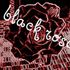 KIng BLack rose