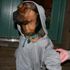 tessa bonedog