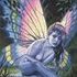 Lori Rehling