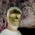 Clay Fennell