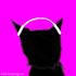 tarot cat
