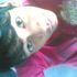 Firdaus Aus
