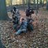 Airsoft Group