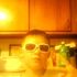 Nick Mccoy