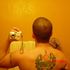fredy mejia