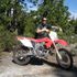 Justin Smith