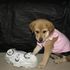 Daisy Duke