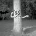 death Stare