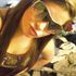 Crystal Caudill