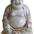 Gay Buddha