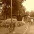 Indra Islas