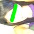 Lizbeth Ferrusquilla
