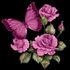 christina goodrich