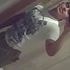 justin diaz