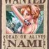 Nami Tnahara