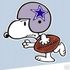 NFL Gal