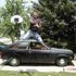 Jarid lamar