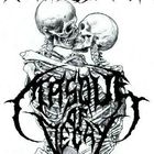 Masque Of Decay