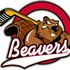 Midnight Hockey Beavers