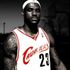 lebron james fan page james