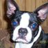 Linda Bobber-Sarfine
