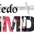 Toledo MMDP