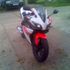 Joey R