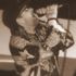 Gypsy Rose