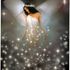 Karen Jeansonne