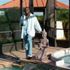 Darnell Drayton