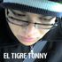 TIgretonny TIgretonny