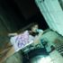 Destinee lyn Deihl