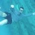 diver down