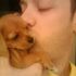 Quaife