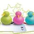 Railbirds Railbirds