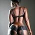Shanll M