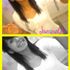 JAcky CHaVarrIa