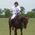 Houston Horne