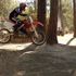 Michael Knight