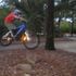 matt scrivener