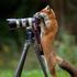 Jesse Fox