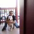 kevis espaillat