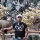 Rolando Hernandez
