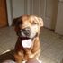 Bailey Milroy
